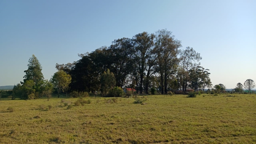 Commercial Property for Sale in Bathurst Eastern Cape